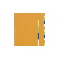 Tabblad SPLS A4 11R 2x5-kleurkarton/se10