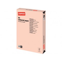 Papier SPLS A4 80g zalm/pak 500v