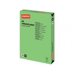 Papier SPLS A4 80g grasgroen/pak 500v