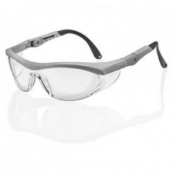Veiligheidsbril Utah clear/grijs/ds10